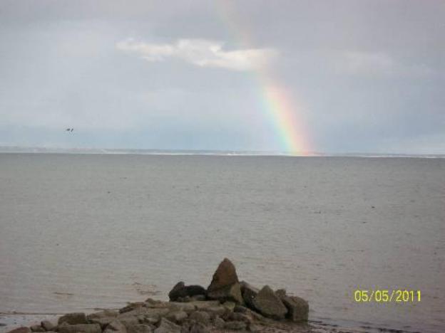 surfside hotel and suites