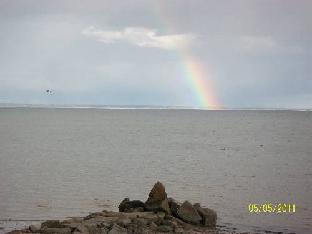 surfside hotel and suites