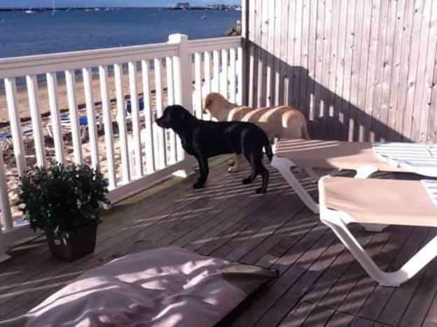 surfside hotel and suites