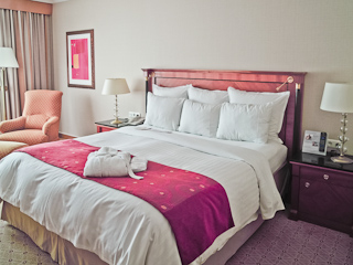 Hotel-Img