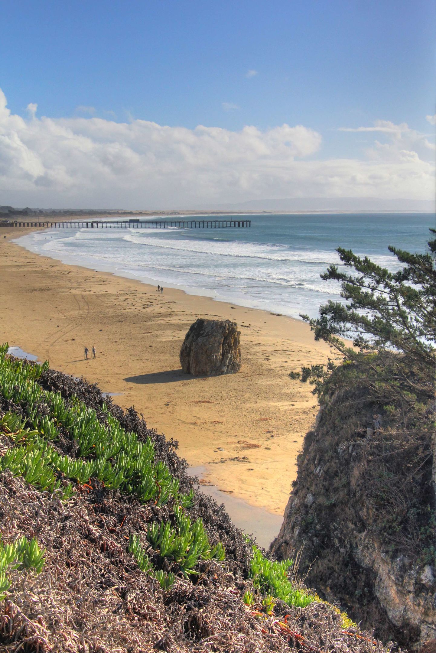 seacrest oceanfront hotel