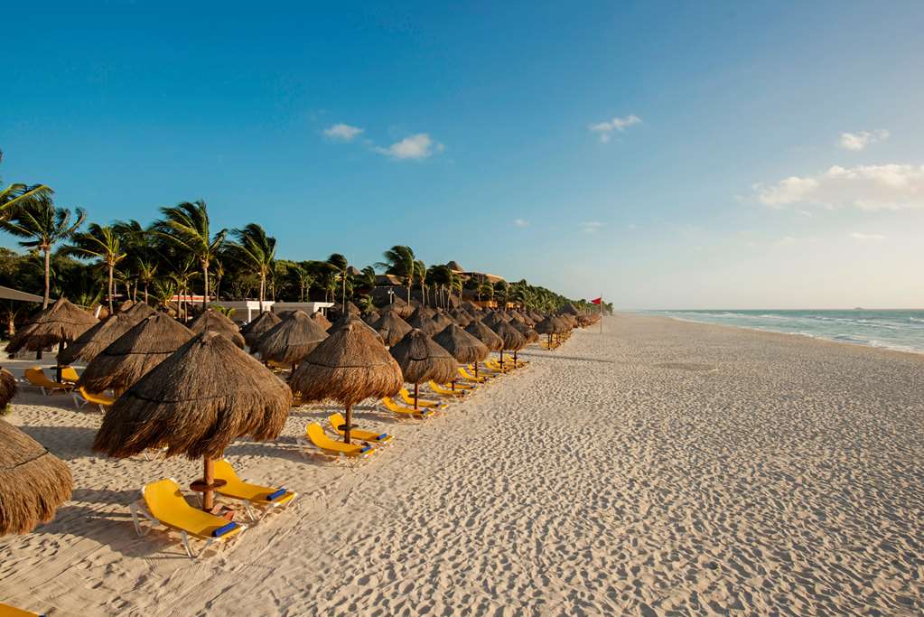 playa del carmen