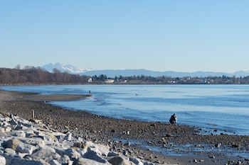 white rock