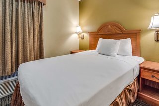 quality inn and suites dallas cityplace