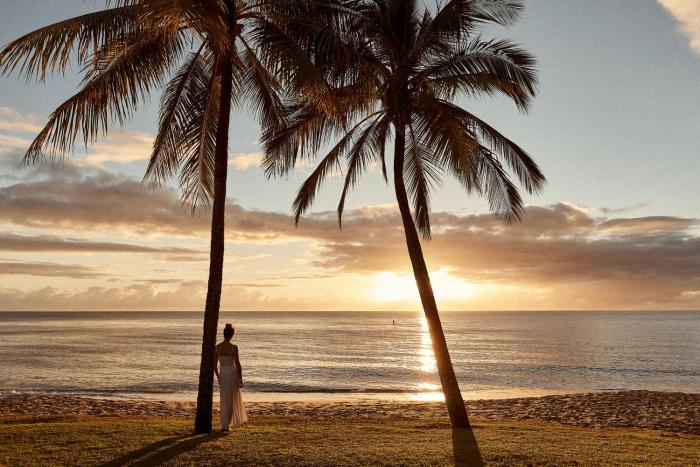 sea change beachfront apartments