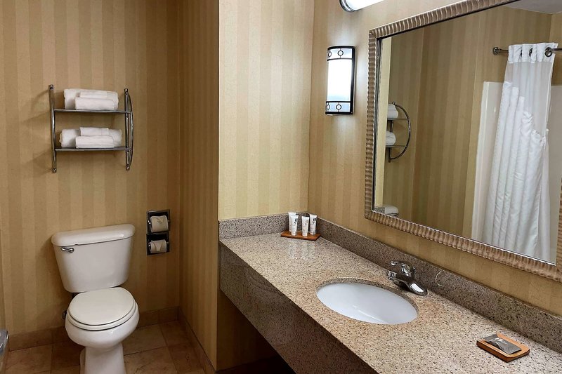 rodeway inn and suites