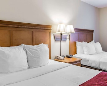 comfort suites