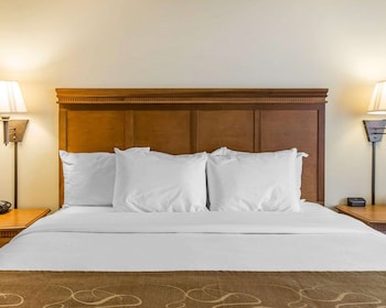 comfort suites