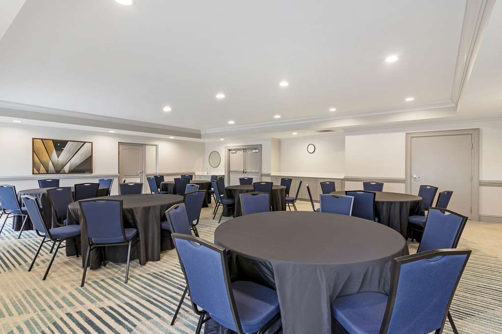 comfort suites
