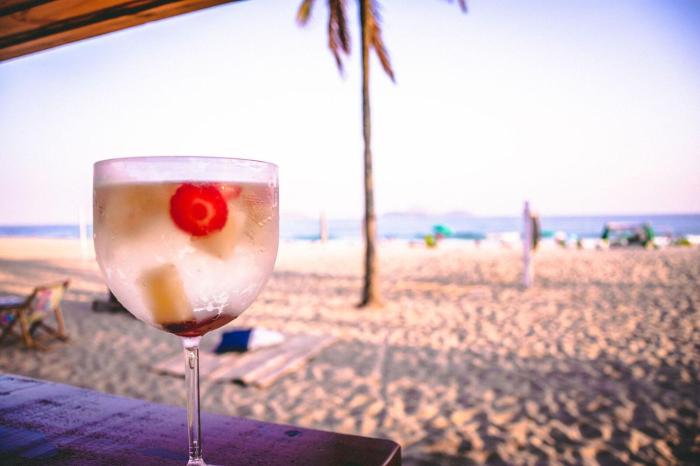 che lagarto hostel ipanema