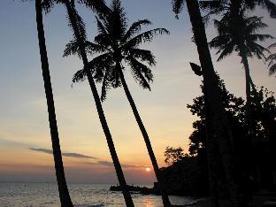 the chandi boutique resort