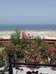 rimini
