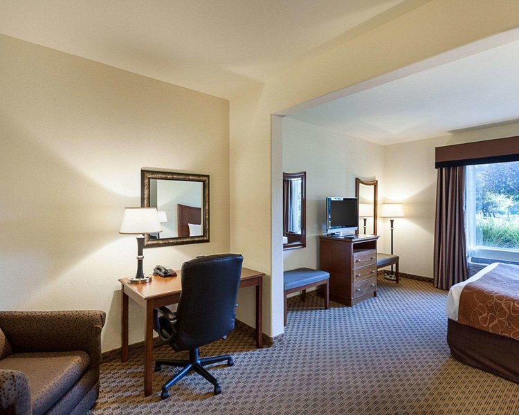 comfort suites san antonio north stone oak