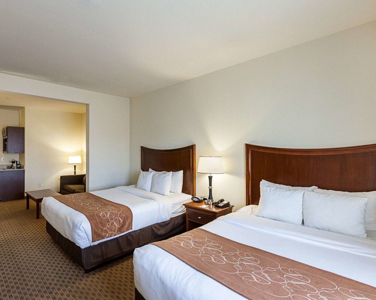 comfort suites san antonio north stone oak