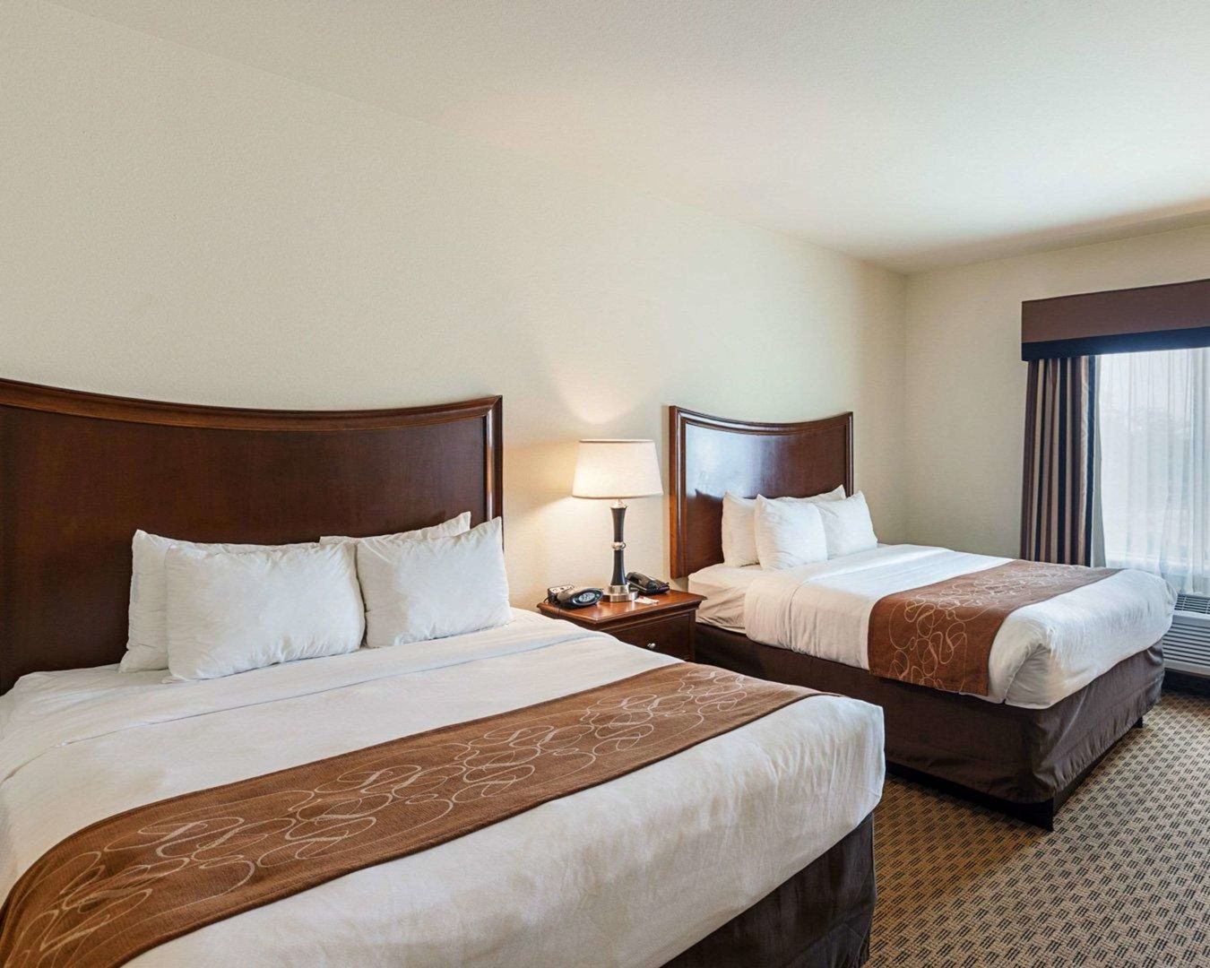 comfort suites san antonio north stone oak