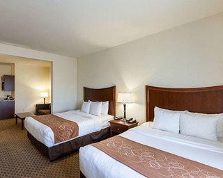 comfort suites san antonio north stone oak