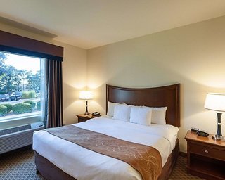 comfort suites san antonio north stone oak