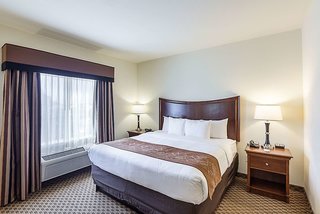 comfort suites san antonio north stone oak