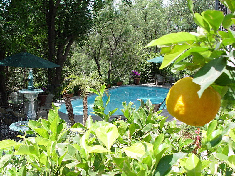 la puertecita boutique hotel
