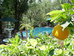 la puertecita boutique hotel