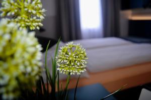 Pension Elisabeth - Rooms & Apartments,Salzburg>>Hallwang,1 star