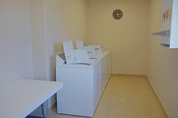best western plus palo alto inn and suites