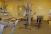 best western plus palo alto inn and suites
