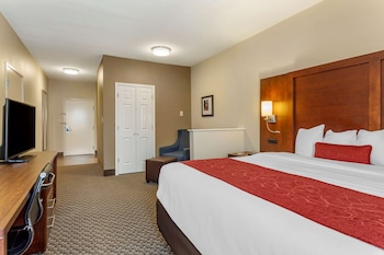 comfort suites