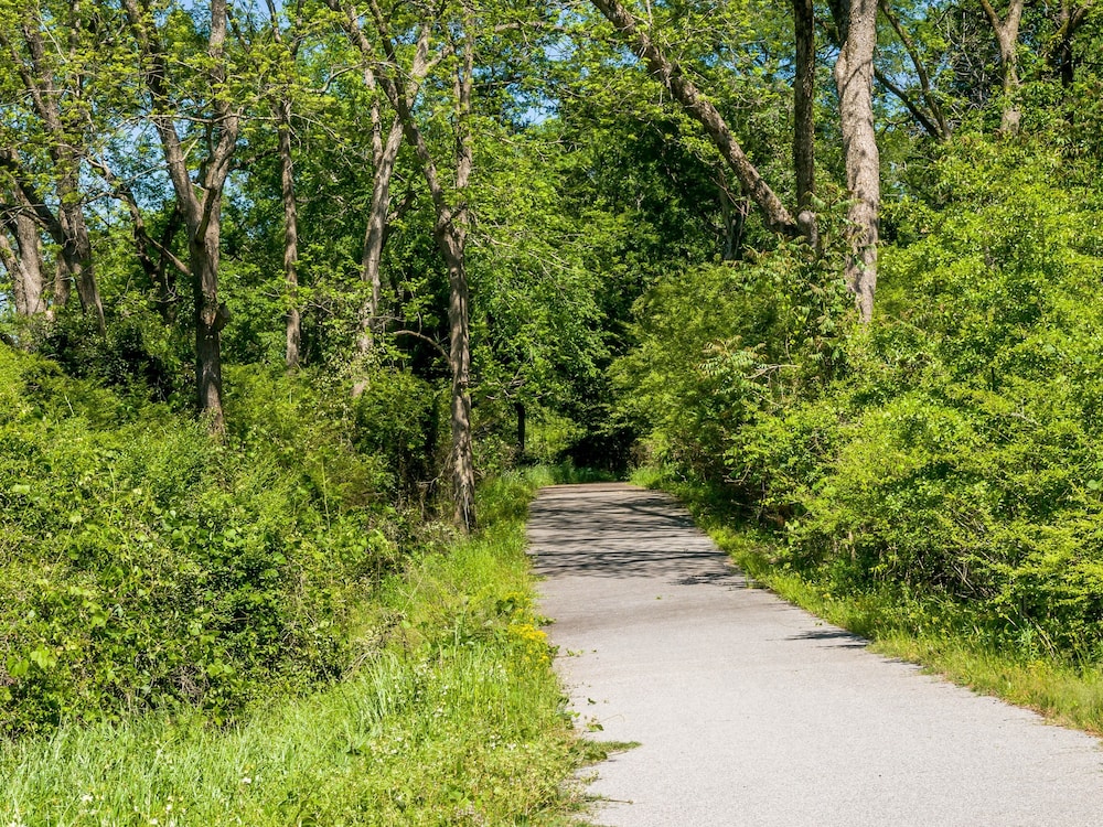 holly house of hamilton