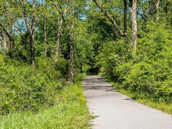 holly house of hamilton