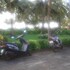 colva