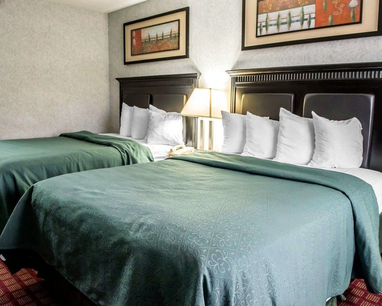 quality inn and suites north