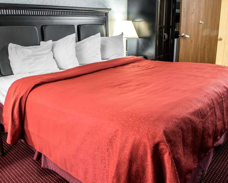 quality inn and suites north