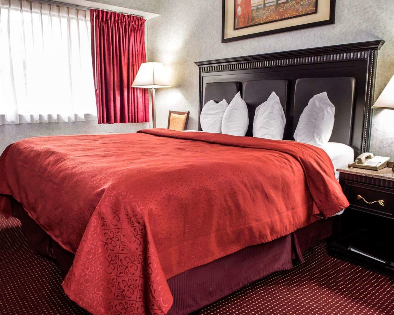 quality inn and suites north