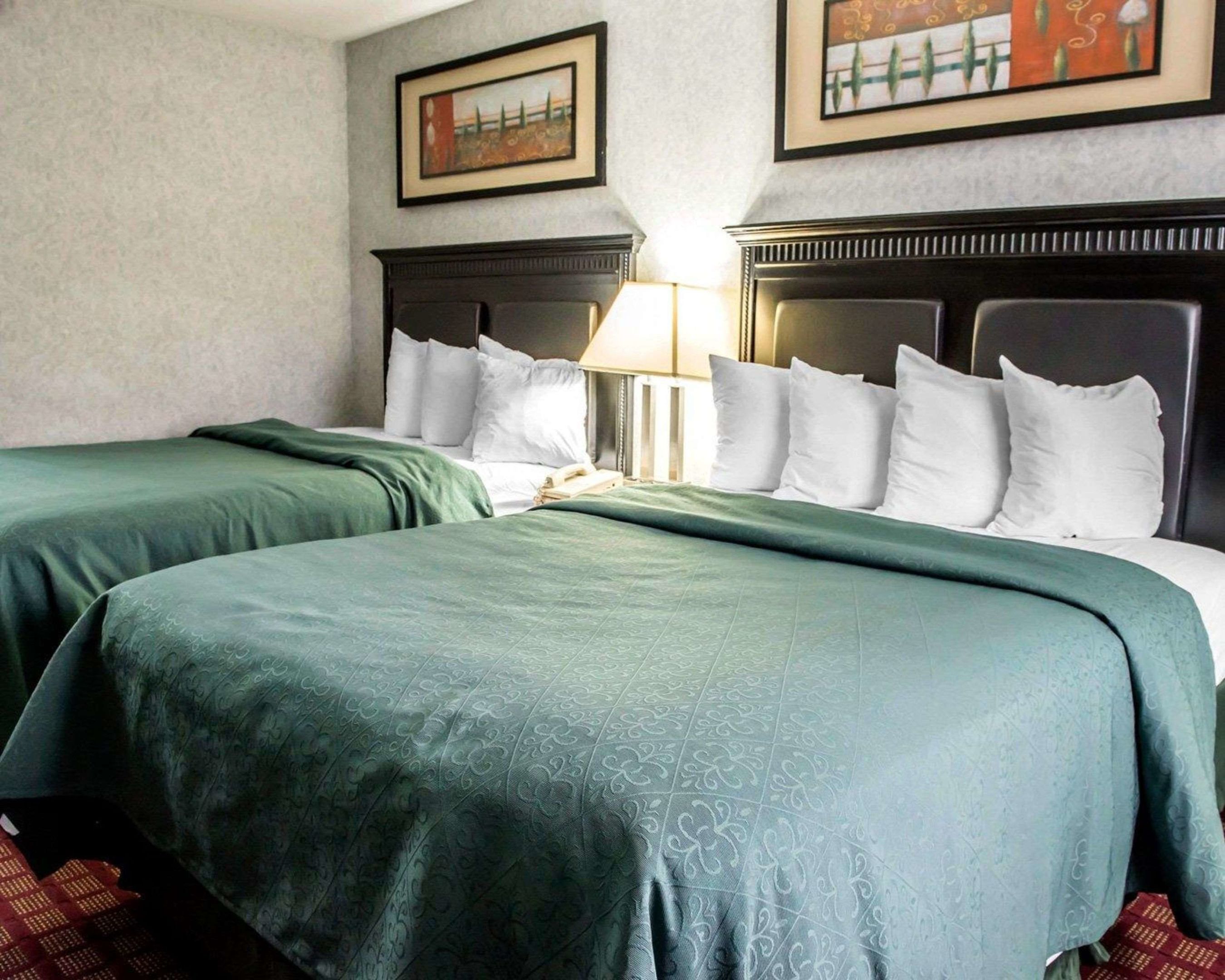 quality inn and suites north
