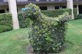 Best Western Plus South Coast Inn,Goleta>>California,3 star