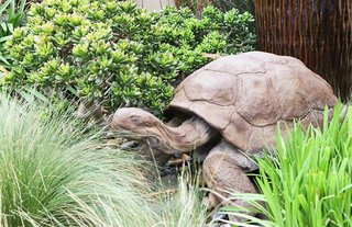 Best Western Plus South Coast Inn,Goleta>>California,3 star