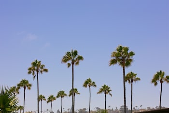 ocean beach hotel