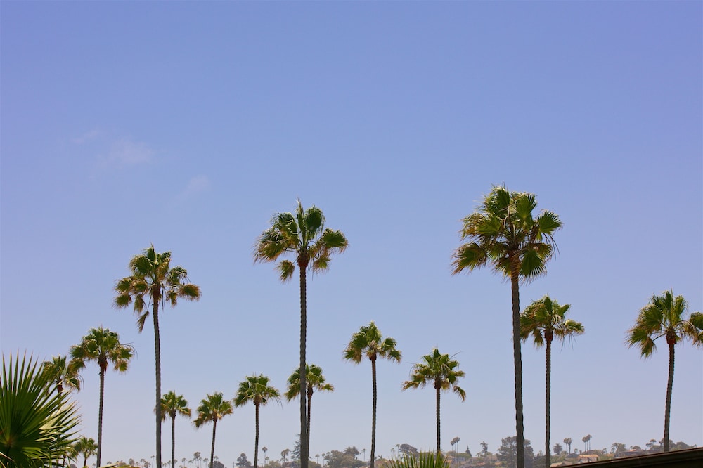 ocean beach hotel
