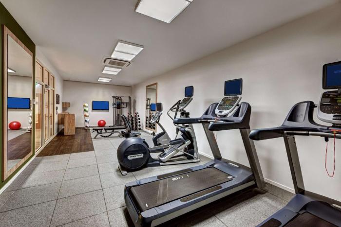 hilton garden inn davos