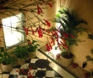 magnolia hotel boutique