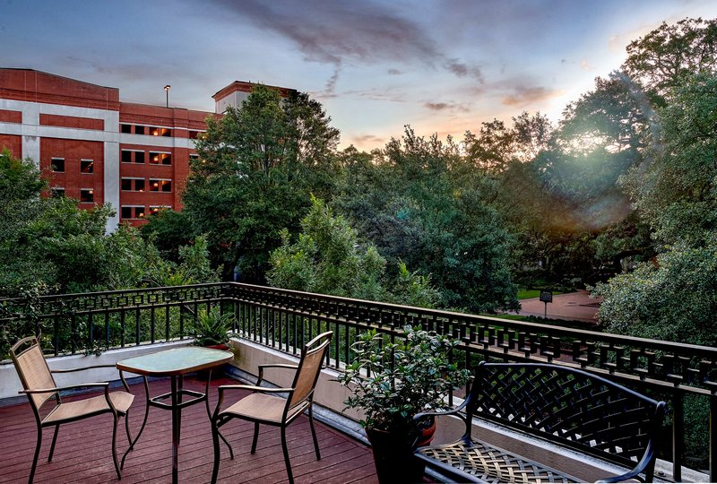 savannah
