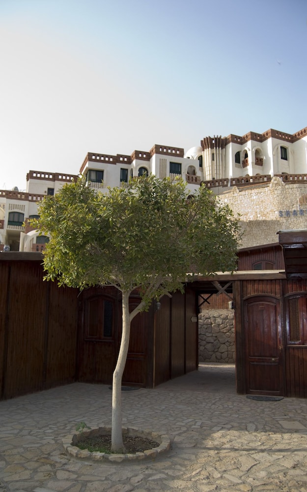 umbi sharks bay diving village