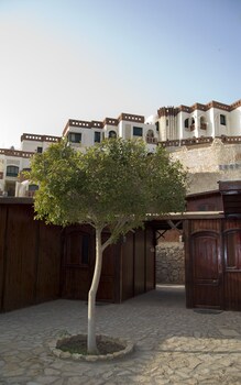 umbi sharks bay diving village