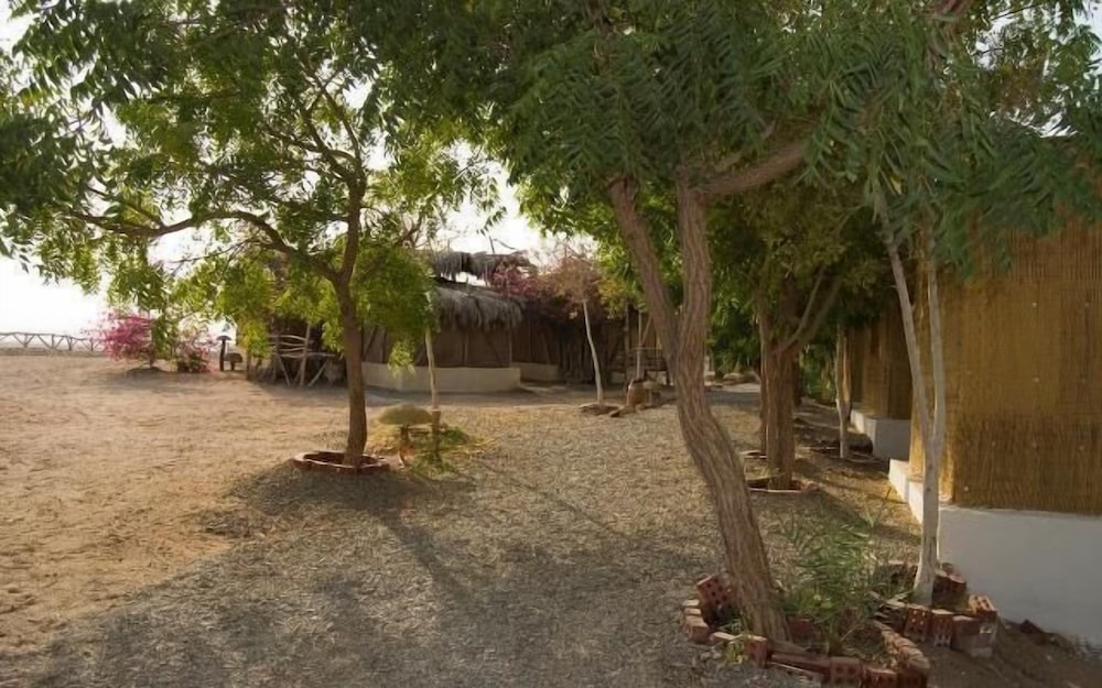 umbi sharks bay diving village