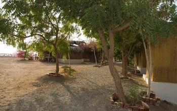 umbi sharks bay diving village