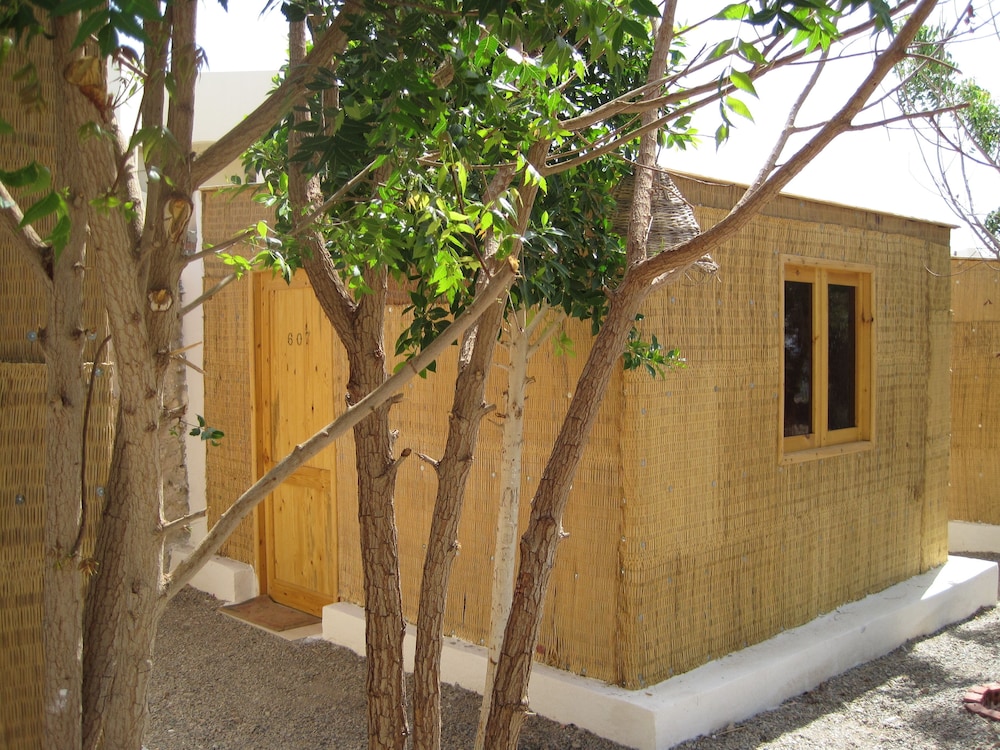 umbi sharks bay diving village