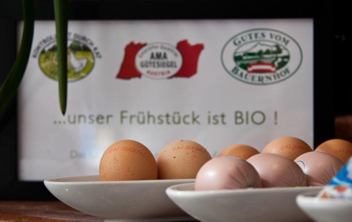 hotel forstinger boutique hotel scharding