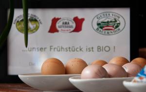 hotel forstinger boutique hotel scharding