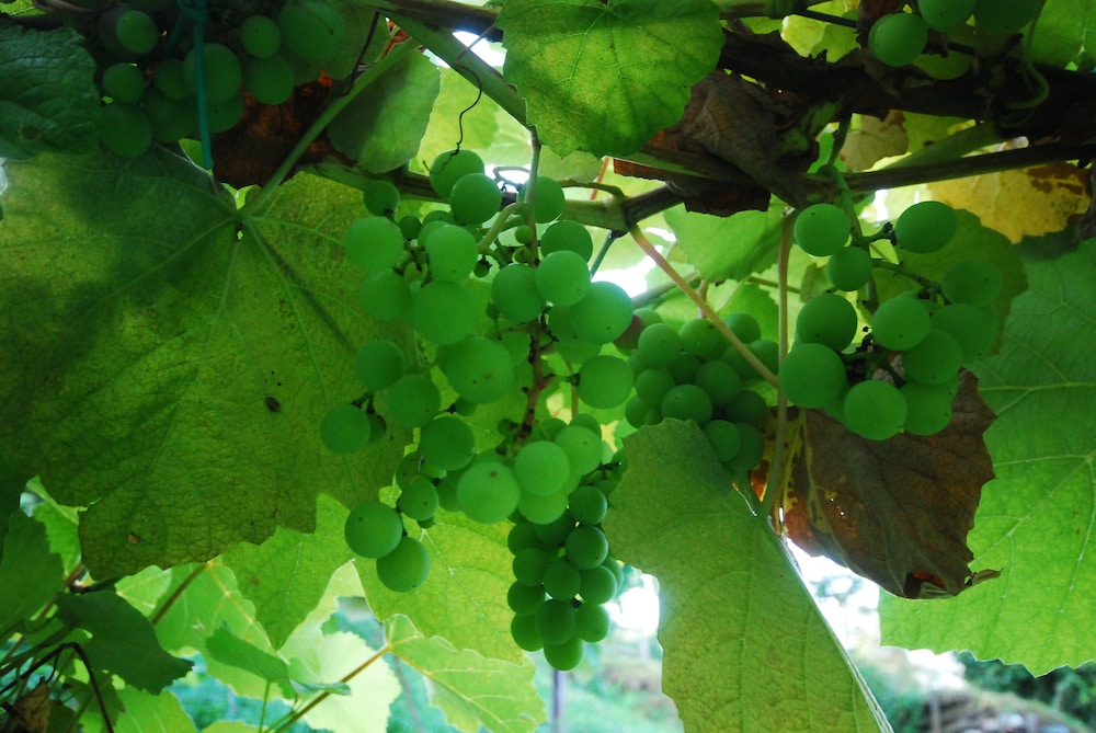 agriturismo al marnich